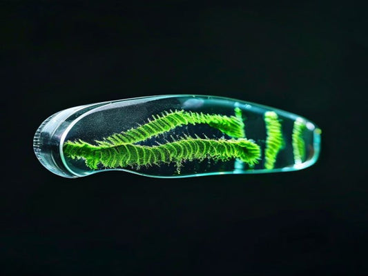 Fibroprinting: Spider-Inspired Hybrid Fiber-Reinforced Biofabrication Redefines Additive Manufacturing